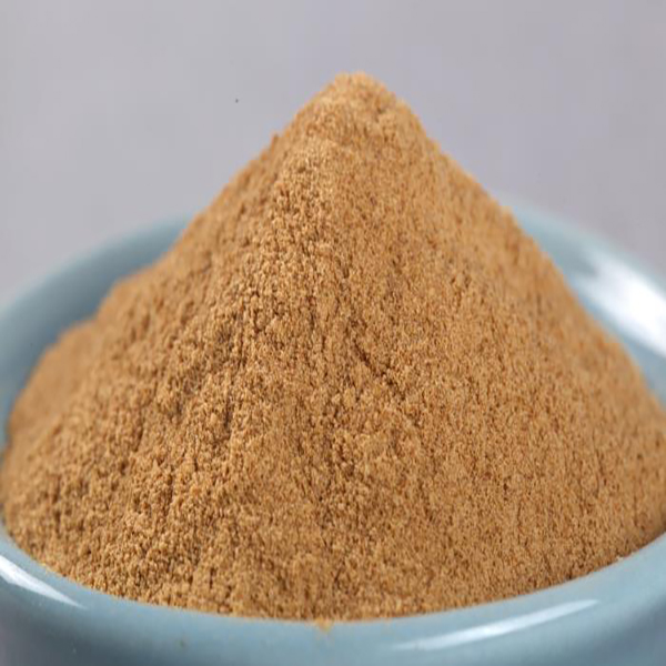 环球360 - 更专业的玩球问答网站